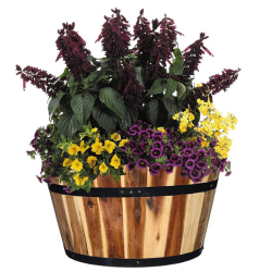 Acacia Wood Whiskey Barrel Planter