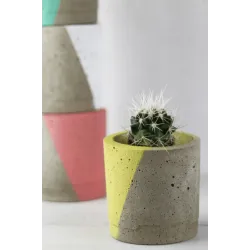 Color Pop Concrete Pots