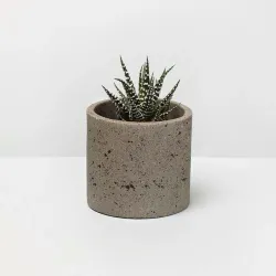 Pebble Stone Planter