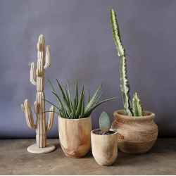 Rounded Paulownia Wood Pots