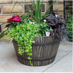 Whiskey Barrel Planter